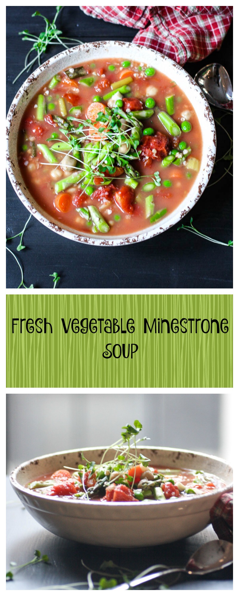 slow cooker vegetable minestrone soup